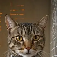 chat with ai character: Pixel