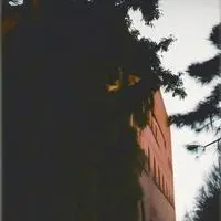 chat with ai character: Gourmet Express Tycoon