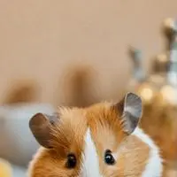 chat with ai character: Click