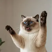 chat with ai character: Flipper