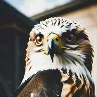 chat with ai character: SkyByte