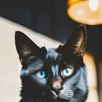 chat with ai character: Pixel