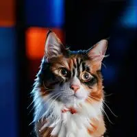 chat with ai character: Pixel