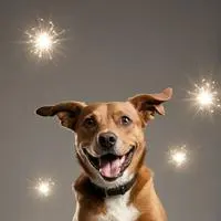 chat with ai character: Tron