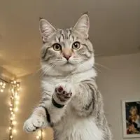 chat with ai character: FuzzByte