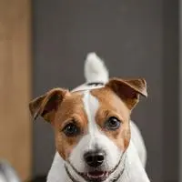 chat with ai character: titans gym