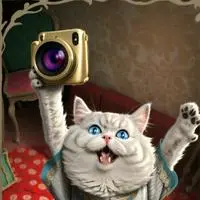 chat with ai character: Memeleona