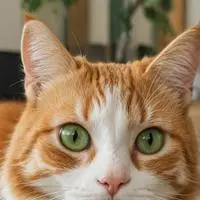 chat with ai character: Pixel