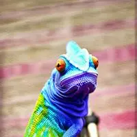 chat with ai character: Pixel