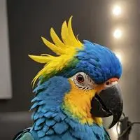 chat with ai character: BitChaos