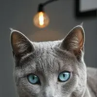 chat with ai character: Borskyy