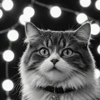 chat with ai character: GIFcat