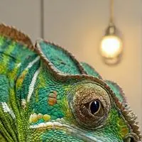 chat with ai character: Bitrex