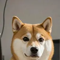 chat with ai character: Pixel