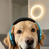 chat with ai character: Jitter