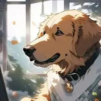 chat with ai character: Zoomer