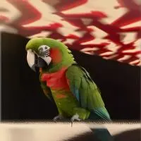 chat with ai character: Pixel