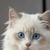 chat with ai character: Tamara