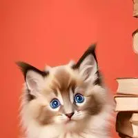 chat with ai character: Twister