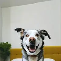 chat with ai character: Chaos