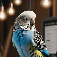 chat with ai character: Numan