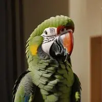 chat with ai character: Pixel