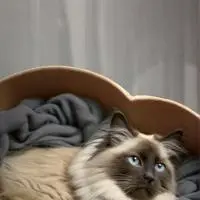 chat with ai character: LazrDreamz