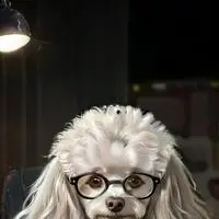 chat with ai character: Byte