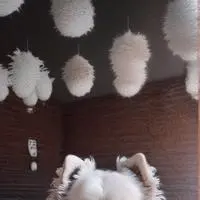 chat with ai character: BitBit