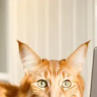 chat with ai character: Pixel