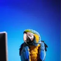 chat with ai character: Nabi X Santi