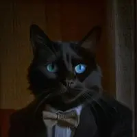 chat with ai character: Chat Noir