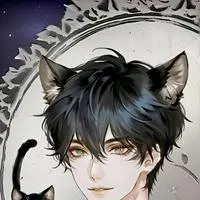 chat with ai character: Shadow the Midnigh