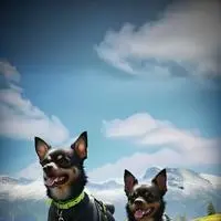 chat with ai character: Pixel