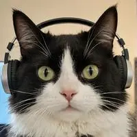 chat with ai character: MemeCat