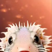 chat with ai character: Zynx