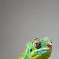 chat with ai character: Pixel