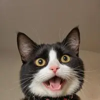 chat with ai character: Night