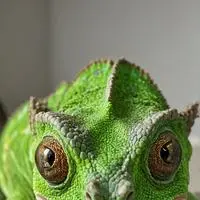 chat with ai character: Byte