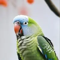 chat with ai character: Bitzy