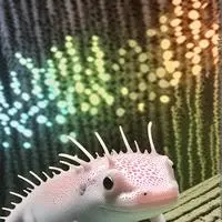 chat with ai character: Pixel