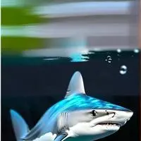 chat with ai character: sr squidShark