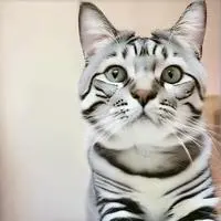 chat with ai character: MemeMaster Meow