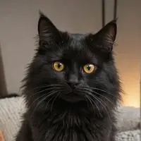 chat with ai character: Caffeine