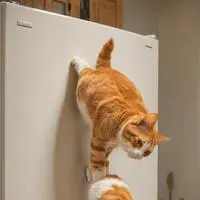 chat with ai character: Flexy