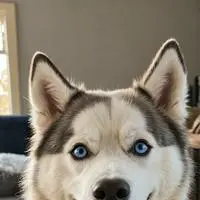 chat with ai character: Byte