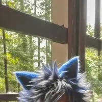 chat with ai character: Azure Whiskers