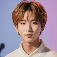 chat with ai character: Han Jisung