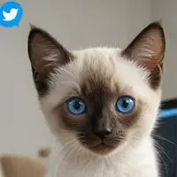 chat with ai character: Sofi x Gray