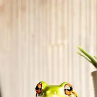 chat with ai character: Ribbit